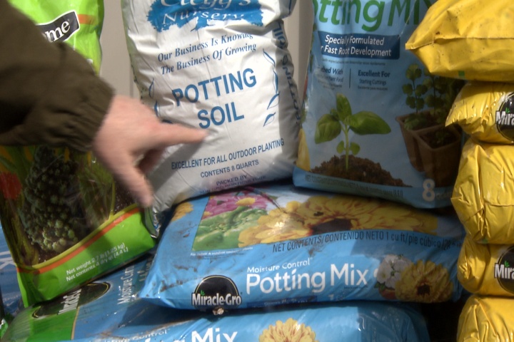 Potting mixes are important for healthy container plants